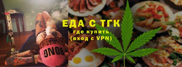 индика Кулебаки