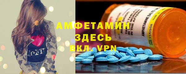 индика Кулебаки