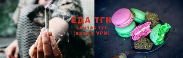 индика Кулебаки
