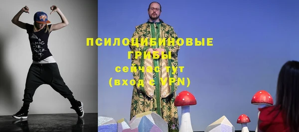 ПСИЛОЦИБИНОВЫЕ ГРИБЫ Кукмор