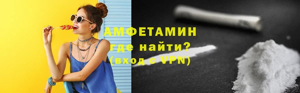 индика Кулебаки