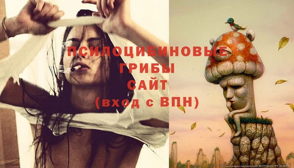 индика Кулебаки