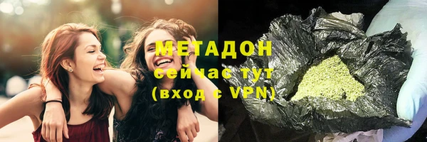 индика Кулебаки