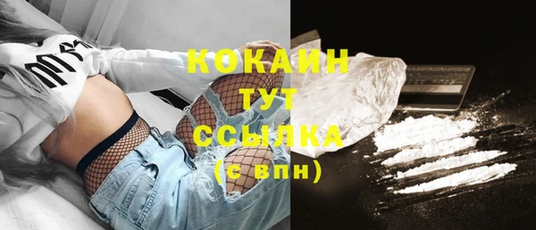 индика Кулебаки