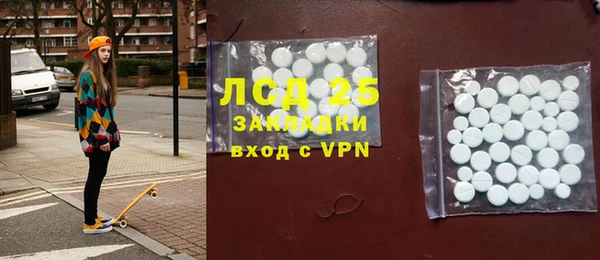 индика Кулебаки