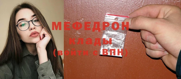 индика Кулебаки