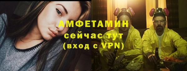 индика Кулебаки