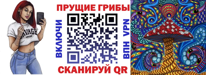 хочу наркоту  Людиново  Псилоцибиновые грибы Psilocybe 